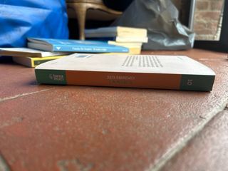 Il ponte dei cani suicidi e in mezzo:io la rivolta