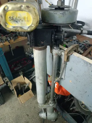 Motor fueraborda, ala de gaviota