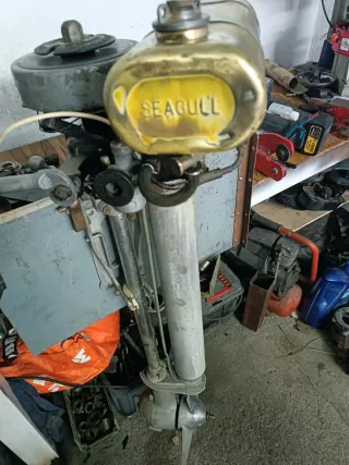 Motor fueraborda, ala de gaviota