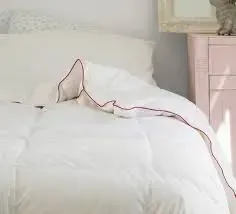 Edredón de plumón Icelands