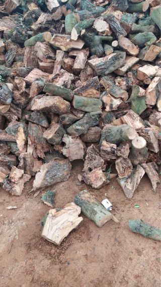 Leña de Olivo para Chimenea - BCN