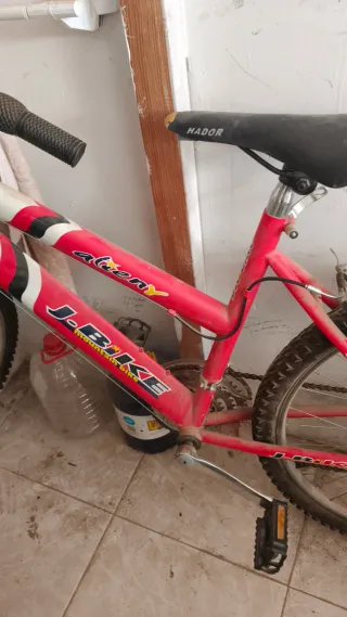 Bicicleta de Montaña Roja