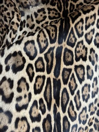Pelliccia Giaguaro Maculata Lunga