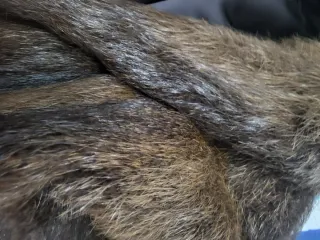 Abrigo imitación piel de nutria