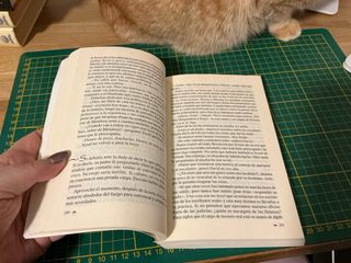 La calle de la judería: Una familia judeoconver...