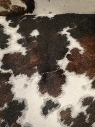 Silla de oficina piel y cromo