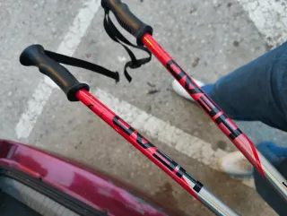 Bastones de esquí Head