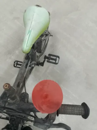 Bicicleta infantil negra y verde