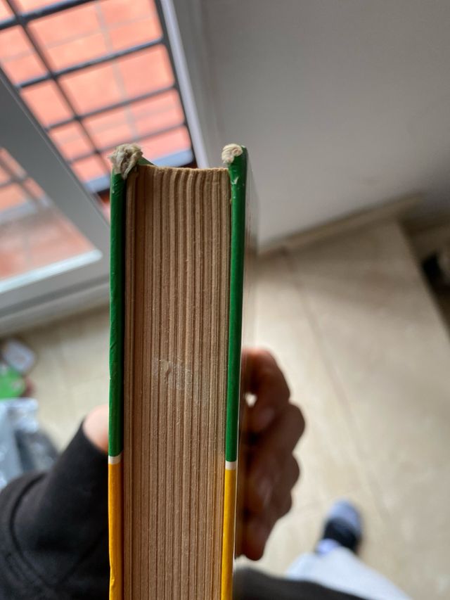 LibroLa familia Bobbsey y el caso de divertilandia