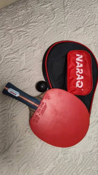 Palas de Tenis de Mesa NARQ