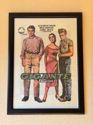 Cuadro Gigante 1956 Ed. Limitada