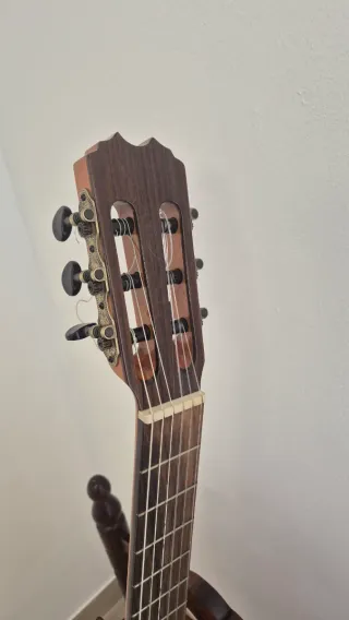 Guitarra Flamenca amplificada