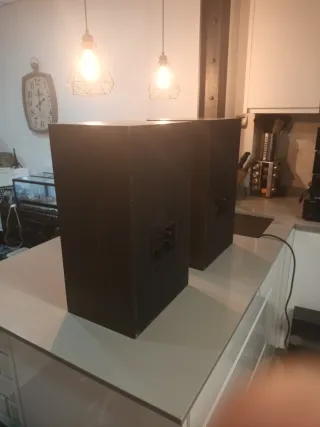 Altavoces Vintage Vieta E-502 High Efficiency