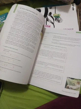 LliT 2D, Llengua i literatura, Educació Secundària