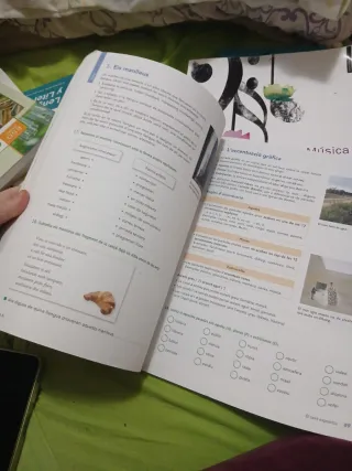 LliT 2D, Llengua i literatura, Educació Secundària