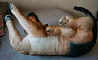 Peluche Perro Pastor Alemán