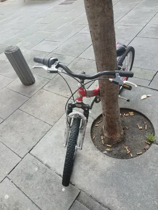 Bicicleta infantil 20 pulgadas
