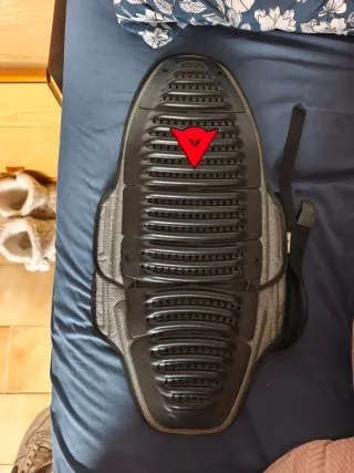 Espaldera Protección Moto Dainese