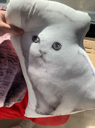 Cojín de gato suave tela realista
