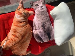 Cojín de gato suave tela realista