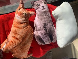 Cojín de gato suave tela realista