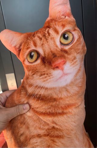 Cojín de gato suave tela realista
