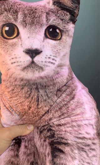 Cojín de gato suave tela realista