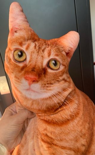 Cojín de gato suave tela realista