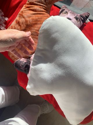 Cojín de gato suave tela realista