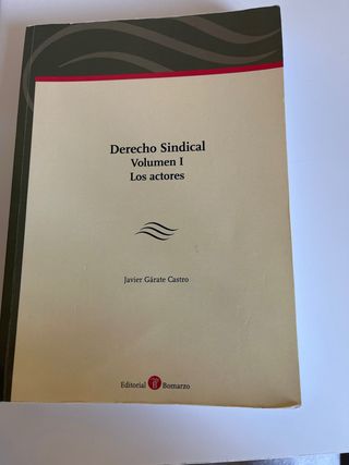 Manual Derecho Sindical USC