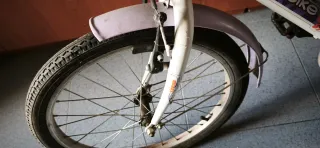 Bicicleta niña 20 Topbike