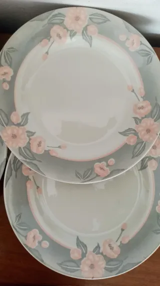 6 Piatti Churchill 25cm Fiori Rosa