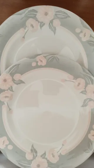 6 Piatti Churchill 25cm Fiori Rosa