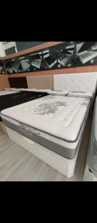 Canapé canapé canapé canapé canapé canapé canapé