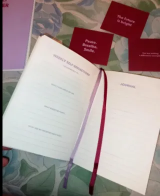 Lotto di Agende e Diari della TIGER nuove.