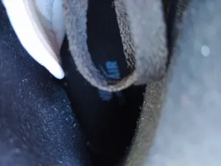 Jordan 1 High University