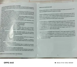 Plancha de vapor vertical portátil