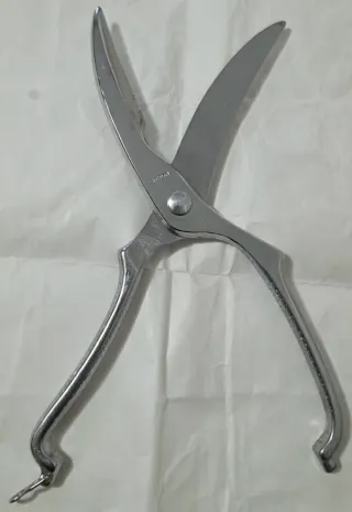 Forbici per pollame in acciaio inox