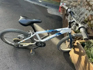 Bicicleta Rockrider ST 120 20 Niños