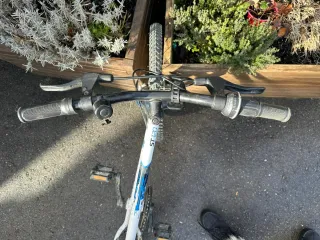 Bicicleta Rockrider ST 120 20 Niños