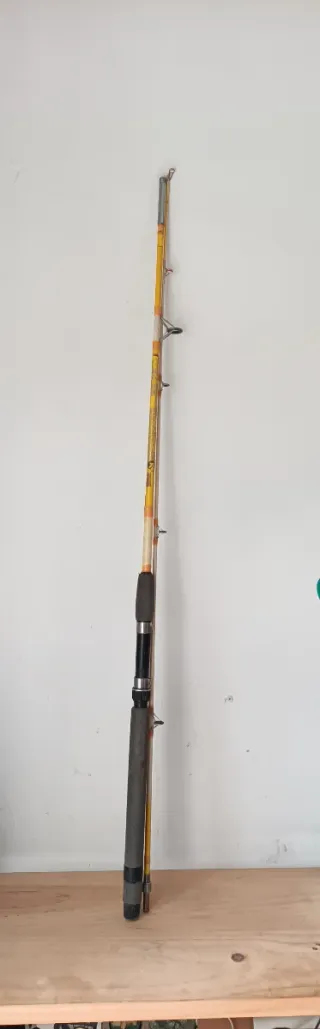 Caña de pescar 220 cm.