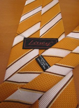 Lote de 5 Corbatas de Poliéster Rayadas