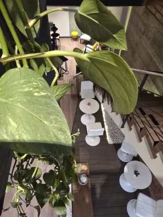 Alquiler de espacios de trabajo COWORKING