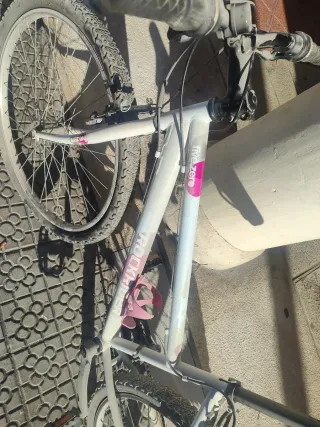 Bicicleta blanca