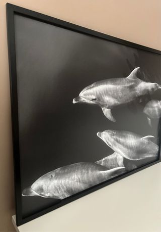 Lienzo con marco Delfines Ikea