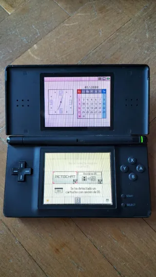 Nintendo DS Negra + Accesorios
