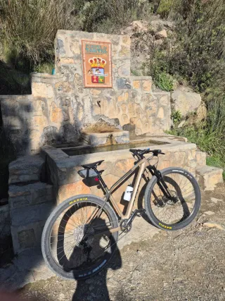 Bici Montaña Color Arena