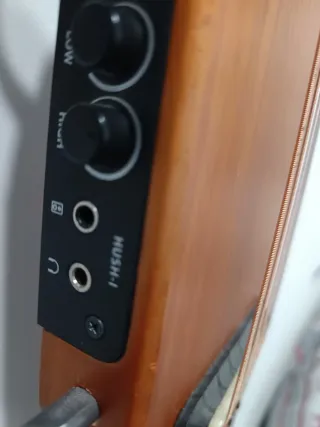 Guitarra Silenciosa Eléctrica