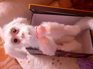 Peluche Fujur La Historia Interminable