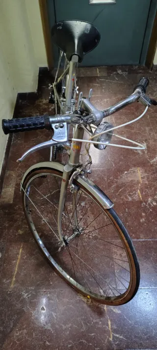 Bicicleta BH Gacela Plata
